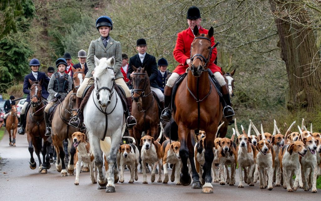 Cottesmore hunt