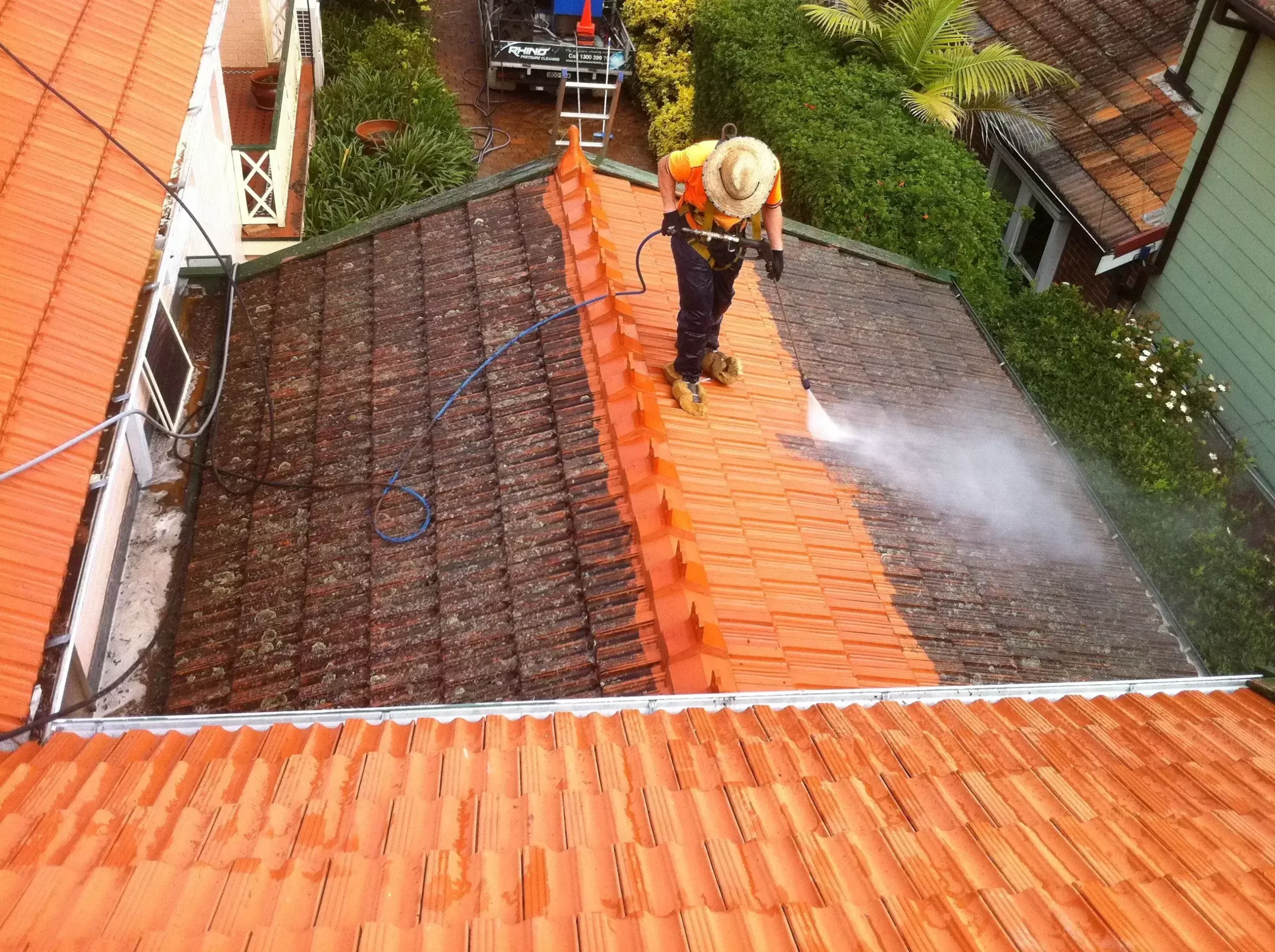 Mould Removal